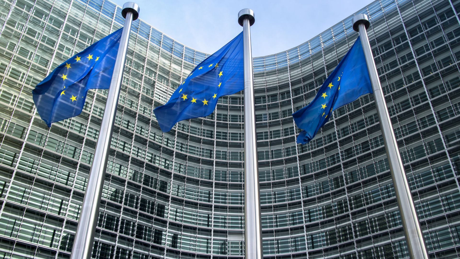 Drapeaux européens symbolisant la construction européenne et ses traités